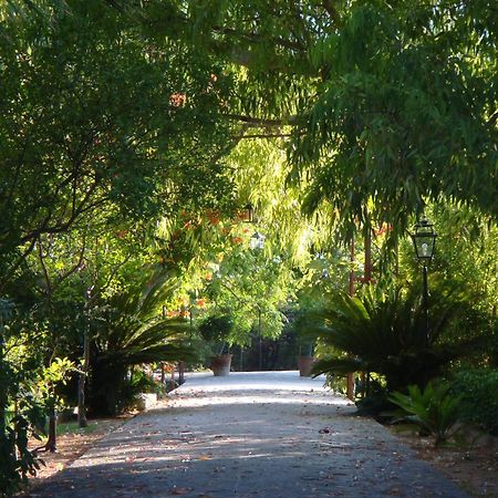 Finca Cas Sant โซเยร์ ภายนอก รูปภาพ