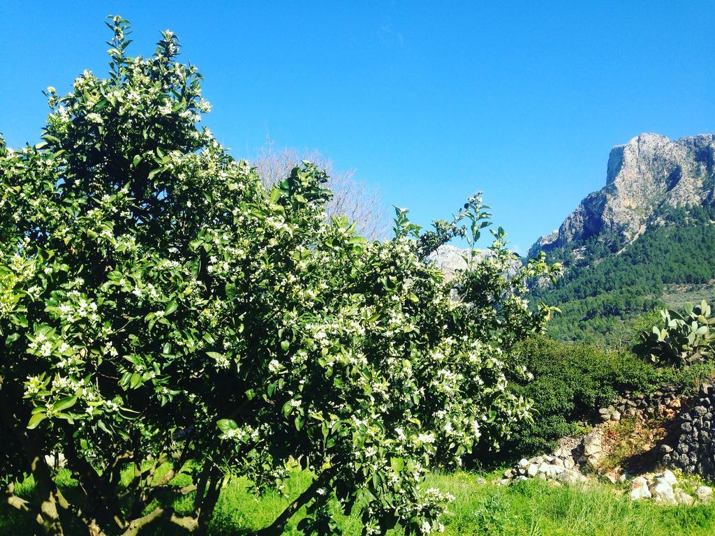 Finca Cas Sant โซเยร์ ภายนอก รูปภาพ